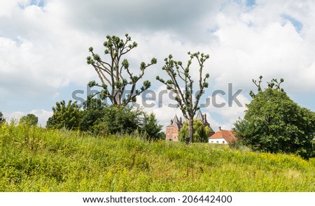 Dutch historic castle Loevestein in the background and a dike with oddly shaped trees in the foreground.
