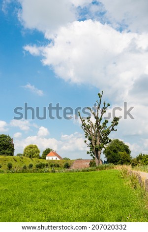 Dutch landscape near the historic castle Loevestein and a dike with oddly shaped trees.