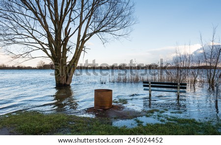 A bench, a bare tree and a rusty oil drum in the water due to the high water level of the river.