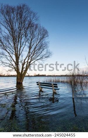 A bench and a bare tree in the water due to the high water level of the river.