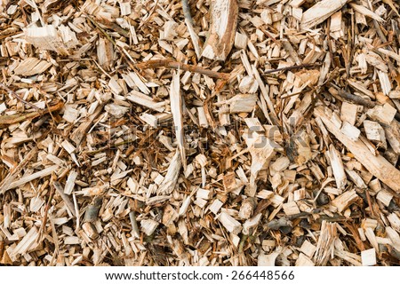 Closeup of a heap of shredded wood from branches pruned in the spring season.