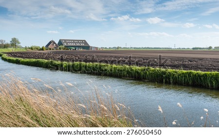 Overlooking a field with recently in the clay soil sown potatoes in long lines and a modern farm with barn. It is a stormy day in the spring season and the yellowed reeds is bent sideways.