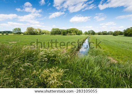 Agricultural grassland on a sunny day in springtime. In the foreground a field edge with white flowering cow parsley and other wild plants.