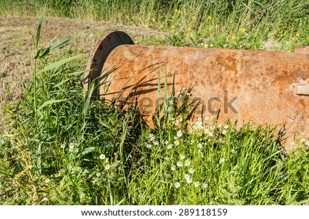 Oxidized tube with a flange on a sunny day in the grass with daisies and other wild plants.
