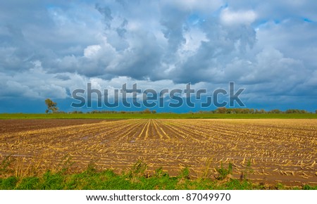 Dutch landscape after harvesting the maize and shortly before it started to rain