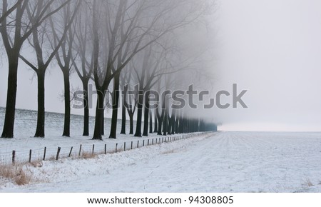 It is very early in the morning and it freezes very much in the Netherlands. The morning mist still hangs over the fields. Therefore the row of trees is only partially invisible.