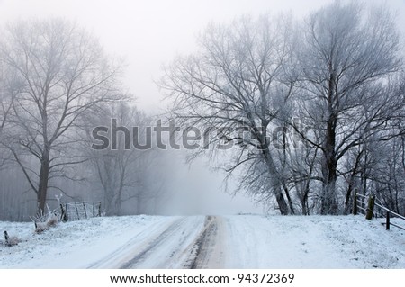 A snowy road up between the trees. It is very early in the morning and it freezes very much in the Netherlands. The morning mist still hangs over the landscape. The view is limited and less colorful.