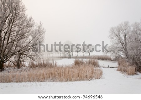 Winter landscape in morning mist. It is very early in the morning and it freezes very much in the Netherlands. The morning mist still hangs over the landscape. The view is limited and less colorful.