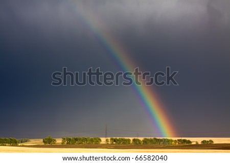 wheat field and rainbow on dark cloudy sky