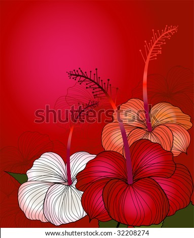 stock vector Red Hibiscus white Hibiscus and orange Hibiscus 