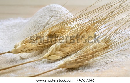 flour wheat ears