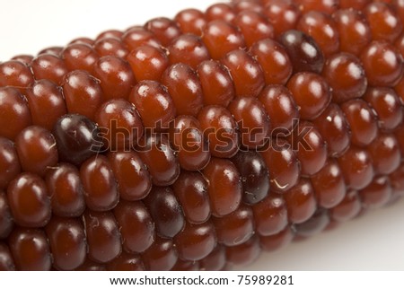 red corn rare variety