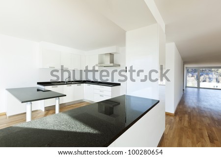 beautiful new apartment, interior, view of the kitchen