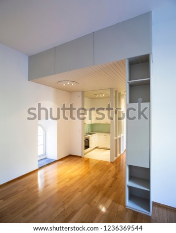 Elegant apartment with kitchen and living room with parquet floors. Nobody inside