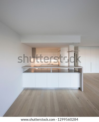 Modern kitchen with large hood and parquet. Nobody inside