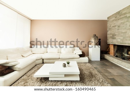 Interior, Beautiful Apartment, Luxurious Living Room
