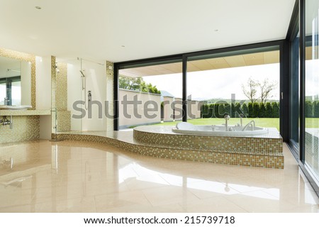 beautiful room with tub, window overlooking the garden