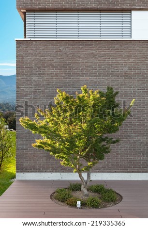 Architecture modern design, detail house, tree