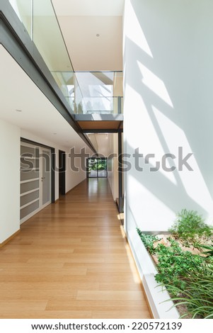 entrance of a modern house, long corridor, hardwood floor