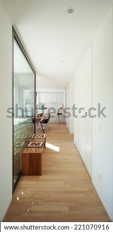 Interior of modern apartment furnished, passage