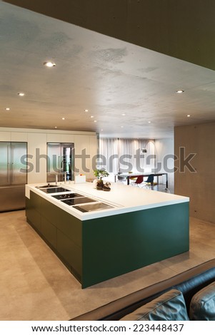 Modern kitchen, interior, house in cement