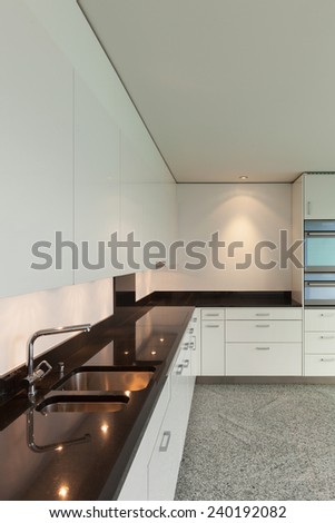 Modern architecture, wide apartment, domestic kitchen view