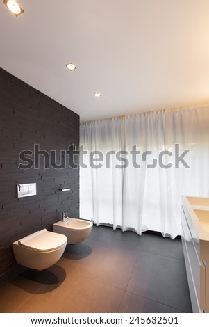 Architecture, modern apartment, comfortable bathroom