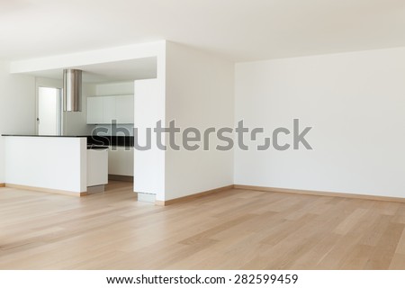 Interior, domestic kitchen of a modern apartment, view from the living