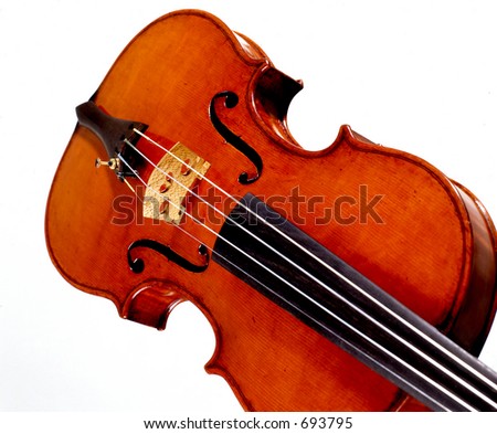 stock photo violino