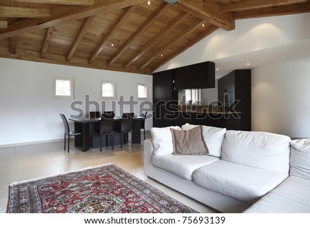 lovely new house, modern furniture, living-room