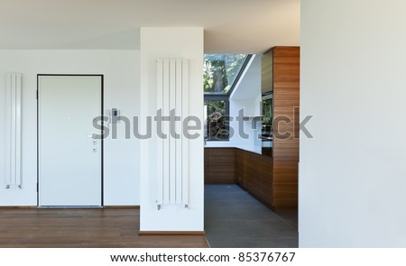 Modern apartment, entrance door and kitchen view