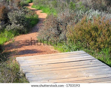 Landscape photo of joining of wood and gravel path.