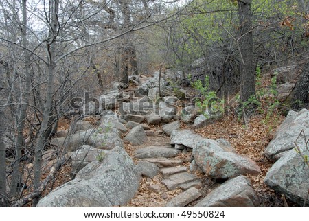 Stone Trail