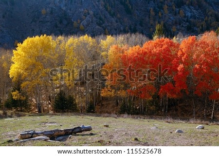 Autumn scenery