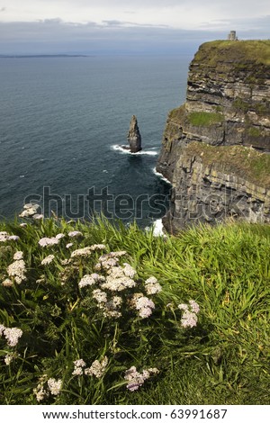 Cliffs of Mother in Clare county, Ireland-Eire