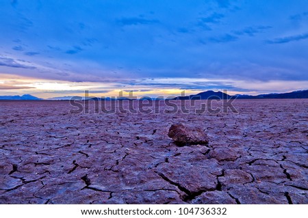 Piece of Dead tree on the Cracked Ground of a Dry Lake at Sunset in Death Valley National Park