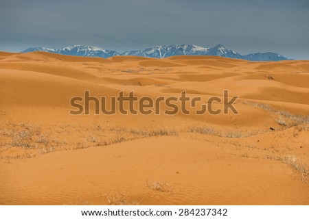 Dry Scorching desert landscape with high mountains in the background