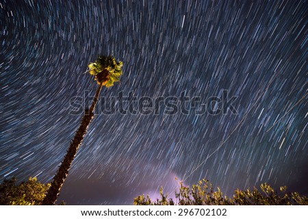Single Palm Tree against Beautiful Clear Bright Starry Night Sky Tropical Destination Scenics