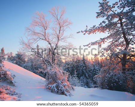 Finland Landscape Winter