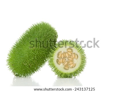 Spiky cucumis fruit