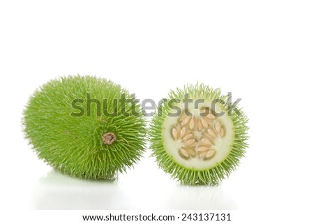 Spiky cucumis fruit
