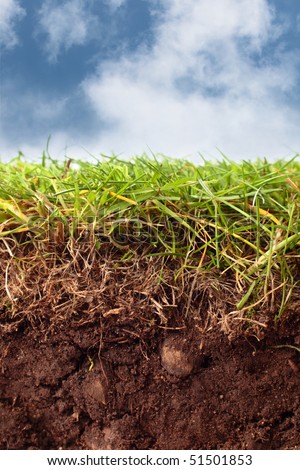Cross-section of soil,grass and cloudy blue sky