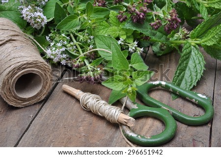 Fresh herbs lemon balm, thyme, mint on wooden board and accessories to prepare for drying