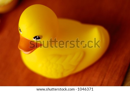 Rubber Ducky on Orange