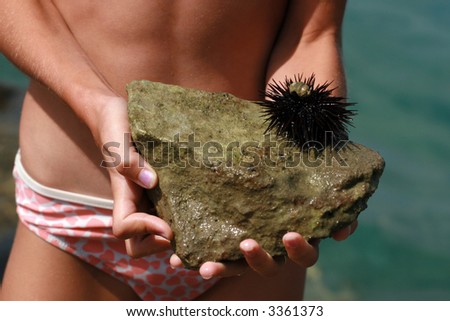 Hirl holding a sea hedgehog on a rock