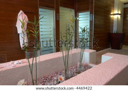 Modern spa and wellness interior design (sauna)