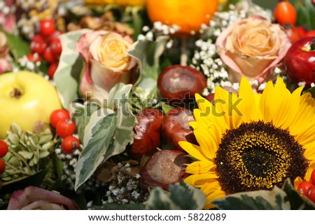 Background made of autumn wild forest fruits and sunflower