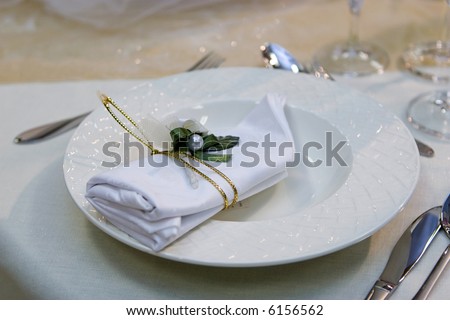 Table setting with a plate and a napkin (wedding dinner)