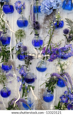 Blue flowers in vases