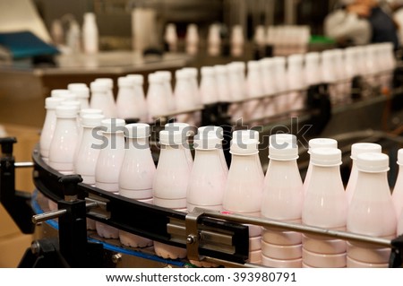 Production line of milk and yogurt